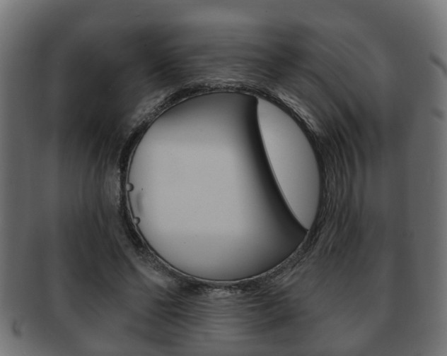 X0000091950494200709061043