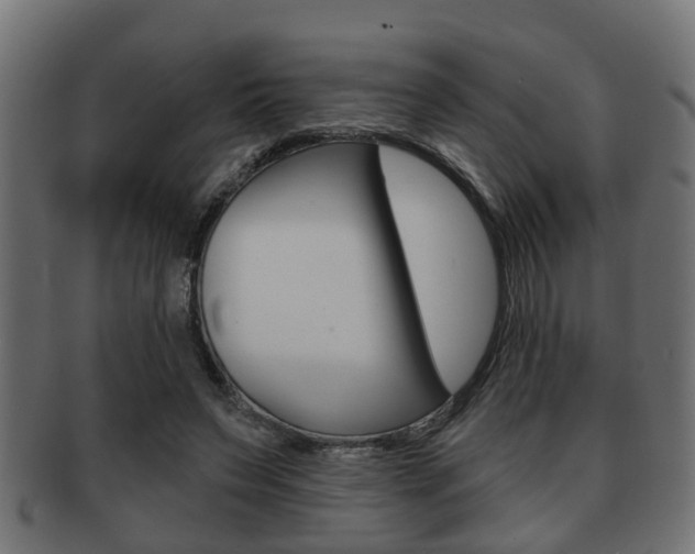 X0000091950495200709061043