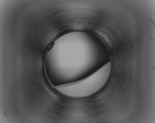 X0000091950496200709061043