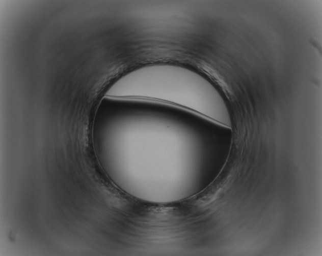 X0000091950497200709061043