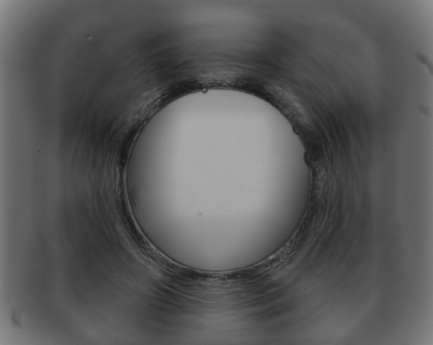 X0000091950498200709061043