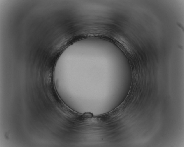 X0000091950499200709061043