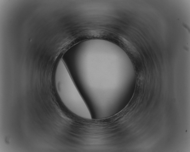 X0000091950500200709061043