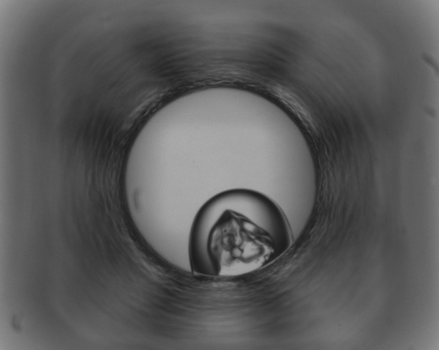 X0000091950501200709061043