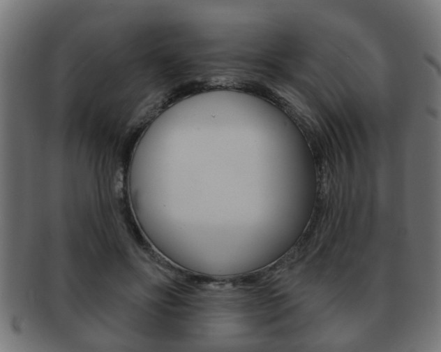 X0000091950502200709061043