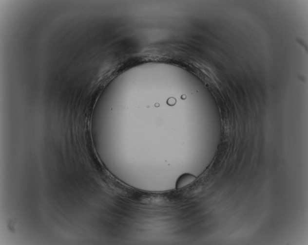 X0000091950503200709061043