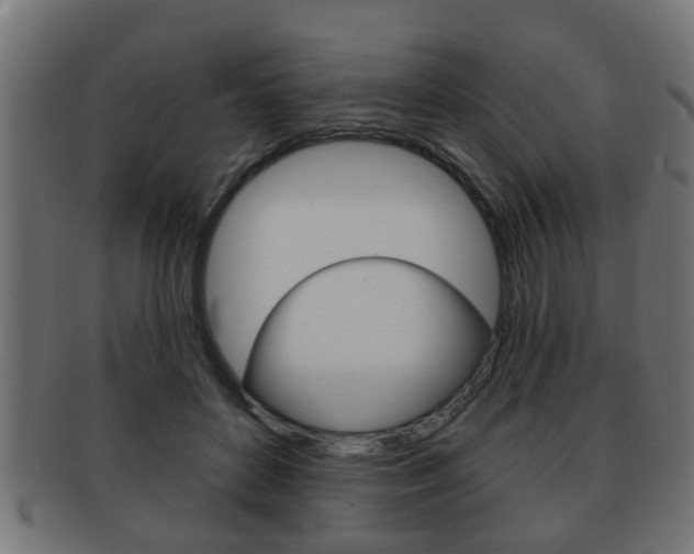 X0000091950504200709061043