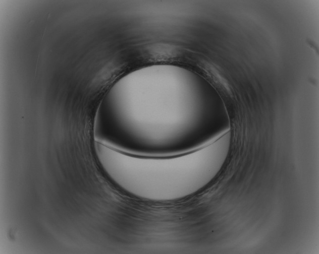 X0000091950505200709061043