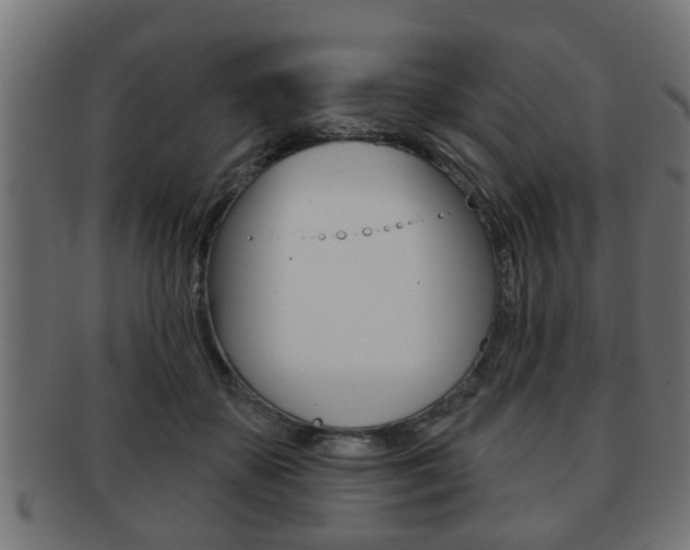 X0000091950507200709061043
