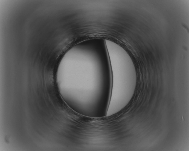 X0000091950508200709061043