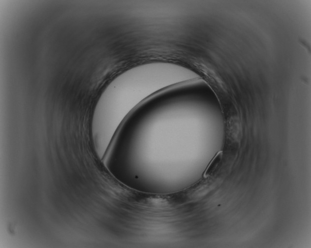 X0000091950509200709061043