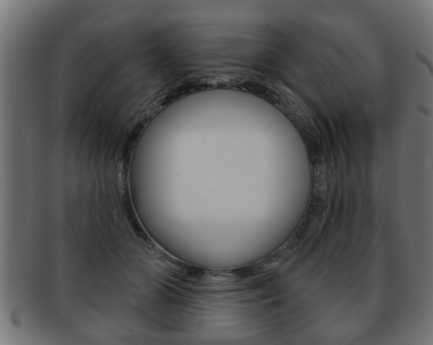 X0000091950510200709061043