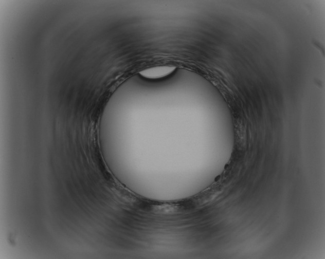 X0000091950511200709061043