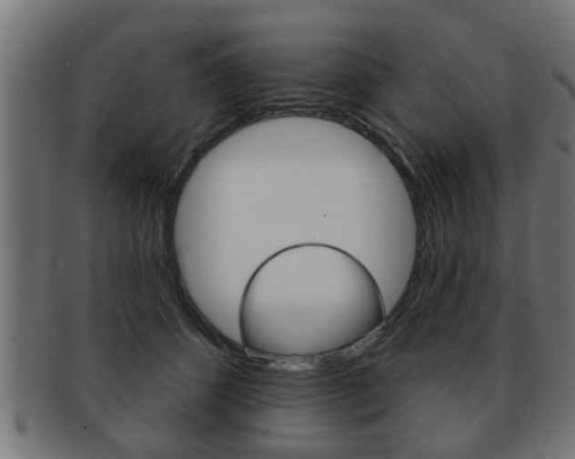 X0000091950512200709061043