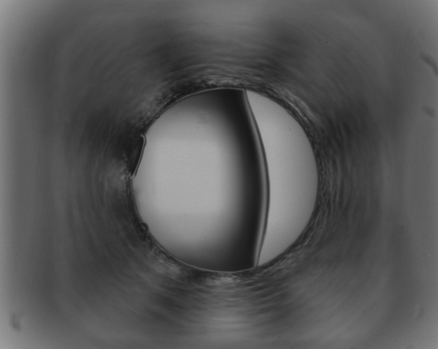 X0000091950513200709061043