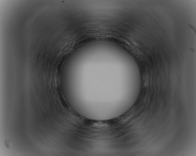 X0000091950515200709061042