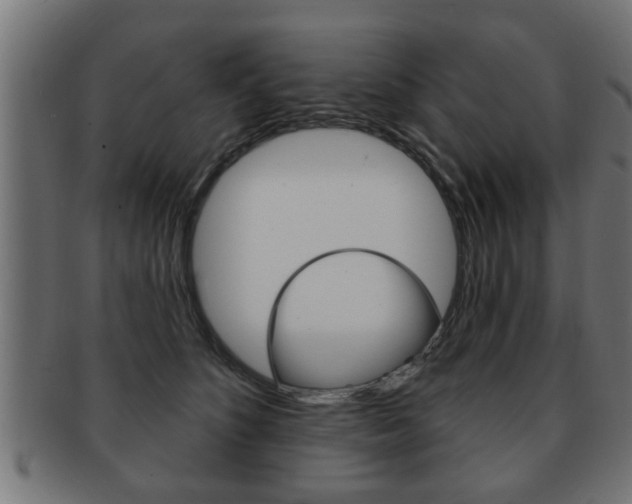 X0000091950516200709061042