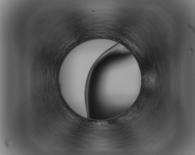 X0000091950517200709061042