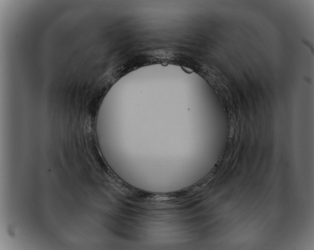 X0000091950518200709061042