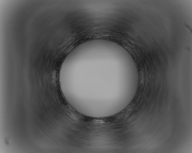 X0000091950519200709061042