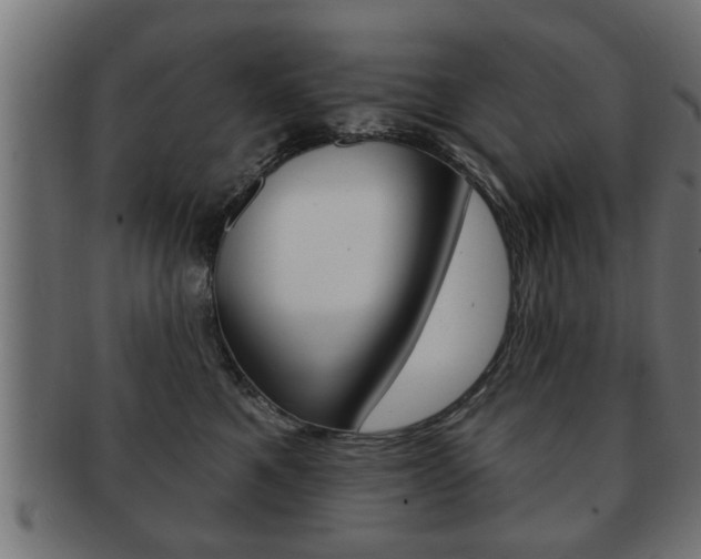 X0000091950521200709061042