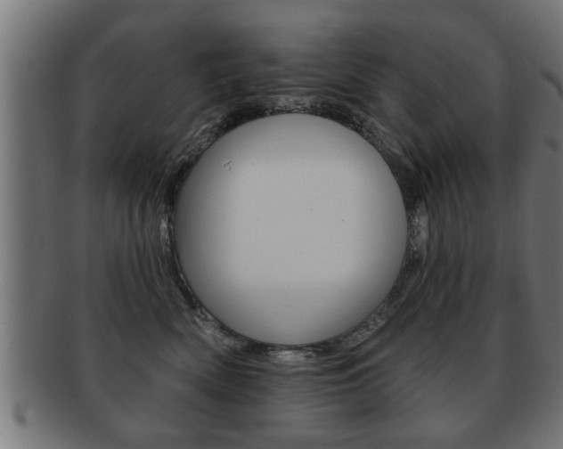 X0000091950522200709061042
