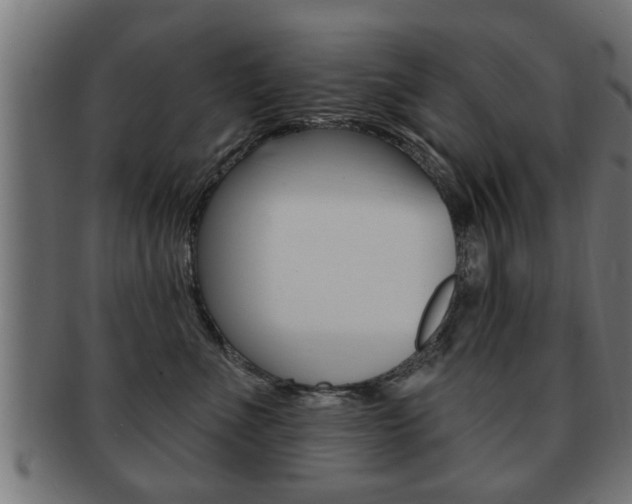 X0000091950523200709061042