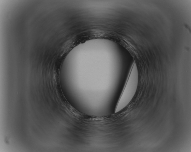 X0000091950524200709061042