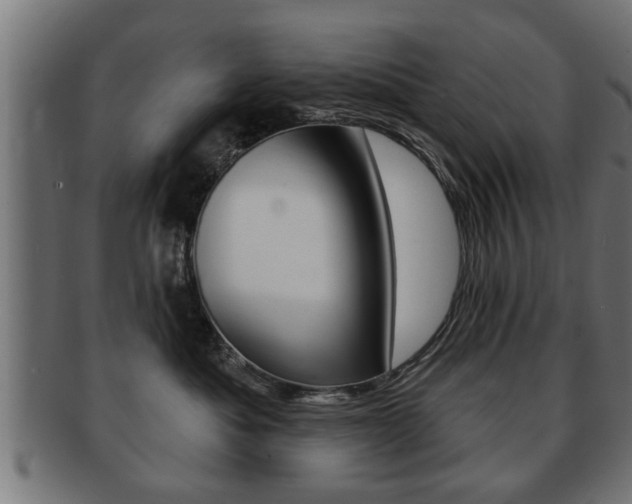 X0000091950525200709061042