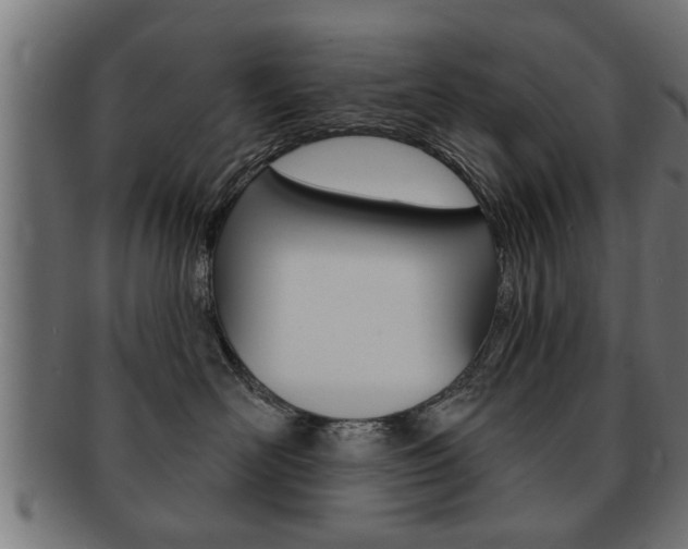 X0000091950526200709061042