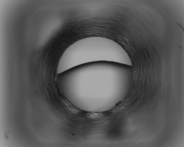 X0000091950527200709061042