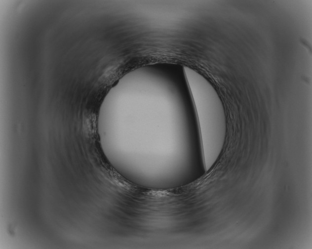 X0000091950528200709061042