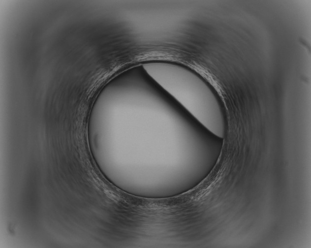 X0000091950529200709061042