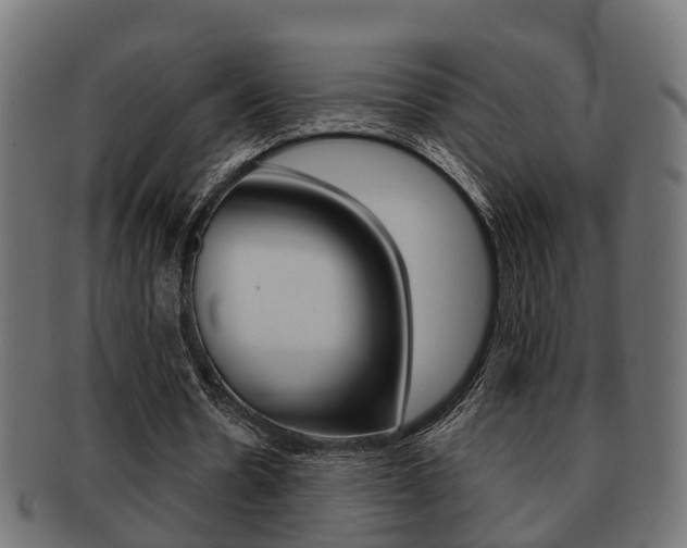 X0000091950530200709061042