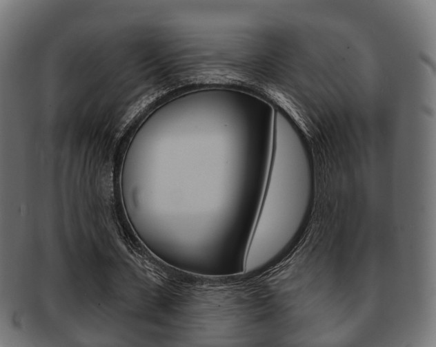 X0000091950531200709061042