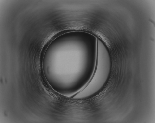 X0000091950532200709061042