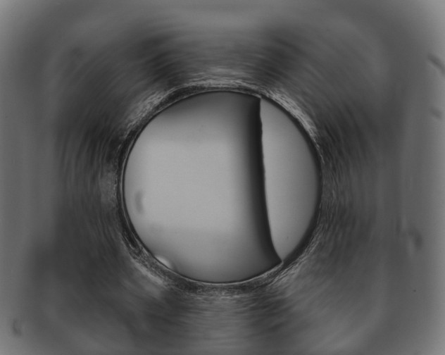 X0000091950533200709061042