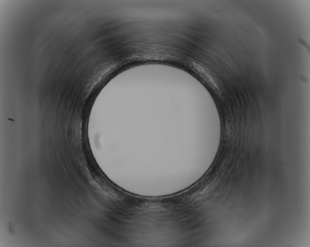 X0000091950534200709061042