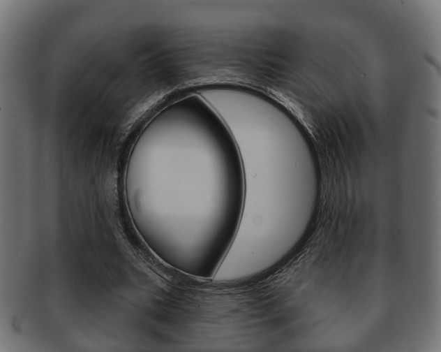X0000091950535200709061042