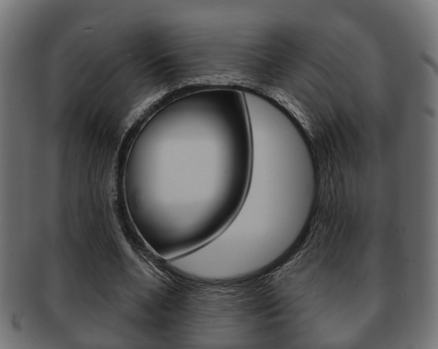 X0000091950536200709061042