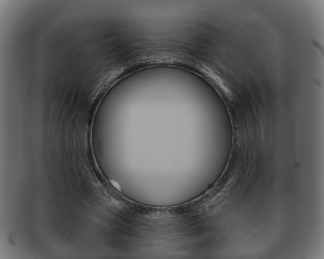 X0000091950537200709061042