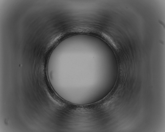 X0000091950538200709061042