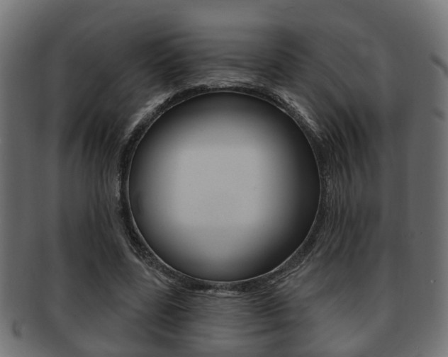 X0000091950539200709061042