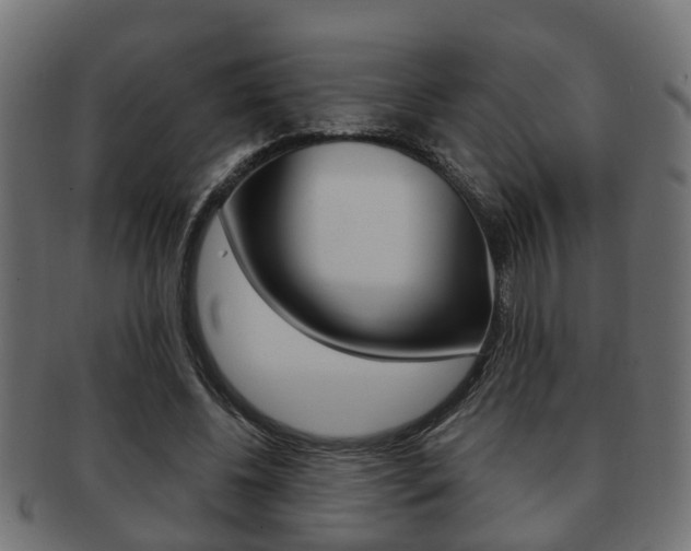X0000091950540200709061042