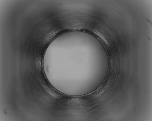 X0000091950541200709061042