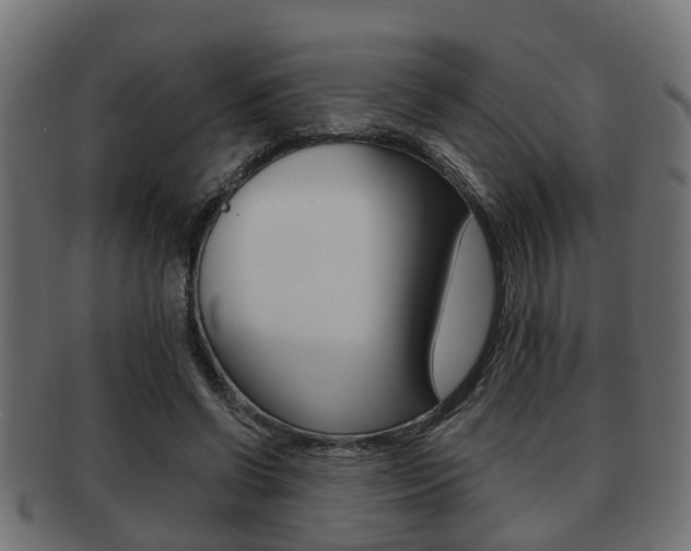 X0000091950542200709061042