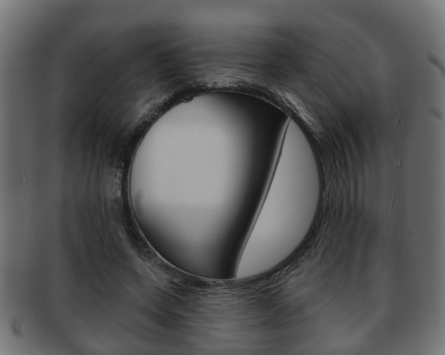 X0000091950543200709061042