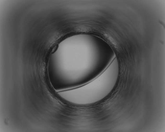 X0000091950544200709061042