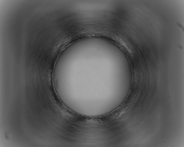 X0000091950545200709061042