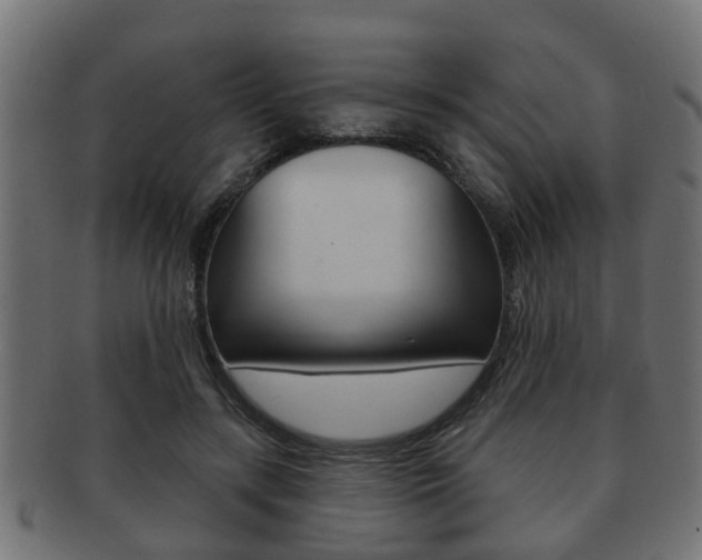 X0000091950547200709061042
